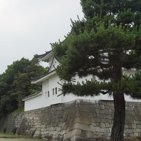 冬季采风阴天控条攻略：绘旅人必看高效技巧解析