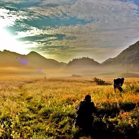 冬日探险必备！时空绘旅人阵容攻略，解锁冬日采风新境界