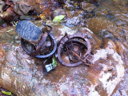 捕兽夹年限揭秘：百年山海奇遇，捕兽新境界！