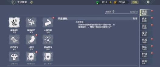 独家揭秘！《妄想山海》黑暗料理制作攻略，全配方大公开！