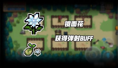 元气骑士独家揭秘：分裂投掷物技巧，轻松解锁战斗新境界