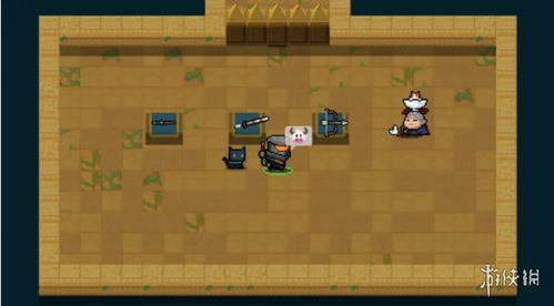 南瓜种子在元气骑士中的强大作用解析，解锁隐藏技能！