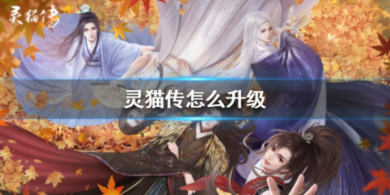 灵猫传快速获取攻略：揭秘高效传灵猫方法技巧