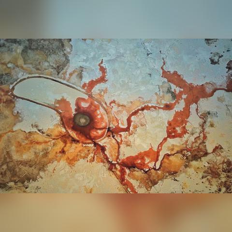 恶魔秘境新手必看！快速入坑攻略，轻松掌握游戏精髓