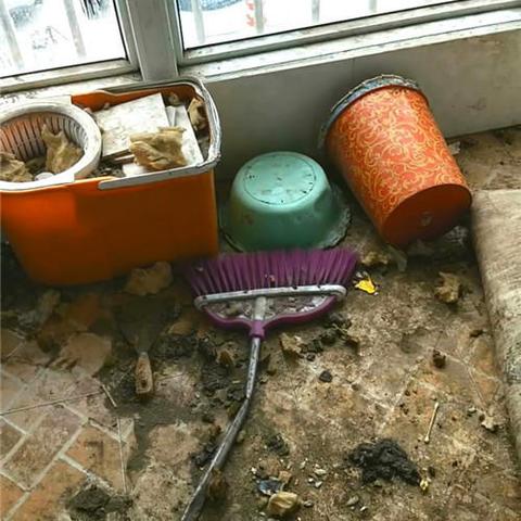 《光遇》粉刷匠弹琴攻略：数字简谱教学，轻松掌握琴谱乐谱技巧