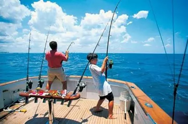 钓鱼达人必看！揭秘海洋净化技巧，高效攻略大公开