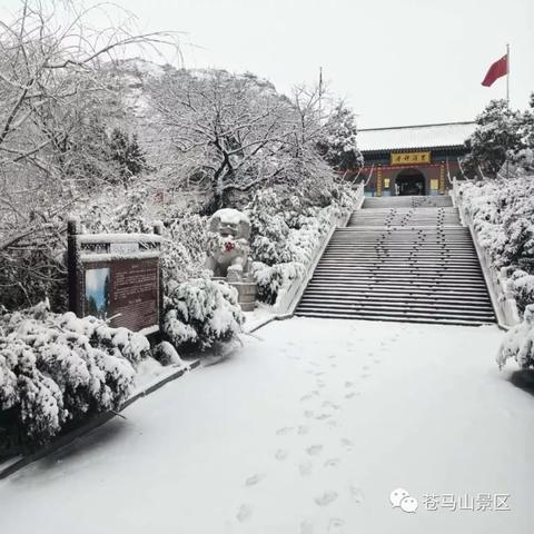 江南百景图野草获取攻略：高效收集技巧揭秘