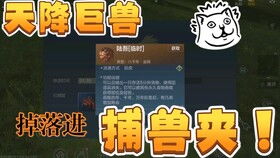 妄想山海捕捉器升级技巧揭秘：捕兽夹进阶攻略全解析