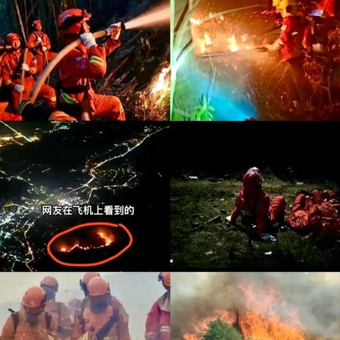 2024年度治愈系游戏推荐：盘点热门放松游戏精选