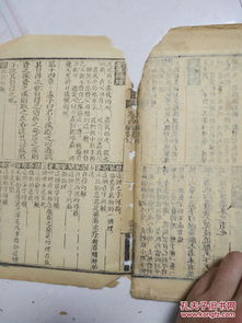 五岳宗独尊剑法速成攻略：高效学习秘籍大揭秘