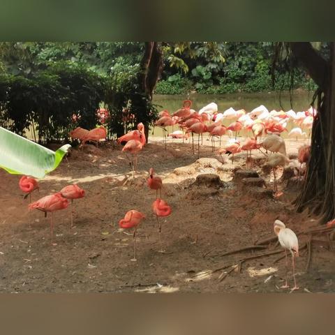 盘点热门低龄游戏：揭秘最受小朋友喜爱的游戏排行榜