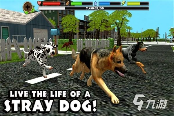 十大热门耐玩狗游戏推荐：揭秘最受欢迎的狗狗游戏排行榜