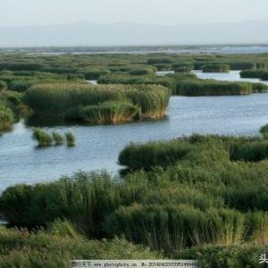 魔法少女升级攻略：谣鹤乃技能材料必备指南