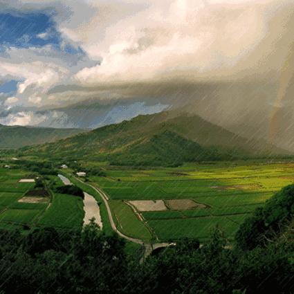 魔法少女升级攻略：八九寺真宵技能提升必备材料揭秘