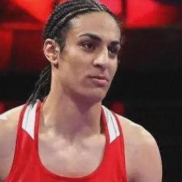 十大热门拳击游戏盘点：揭秘必玩拳击游戏排行，体验极致竞技快感