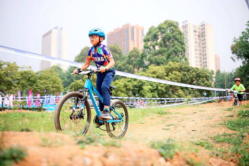 2024年度热门单车游戏推荐，下载排行必看！