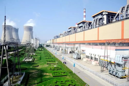 最强蜗牛西市胡商发电机攻略：揭秘高效发电技巧，助力资源储备！