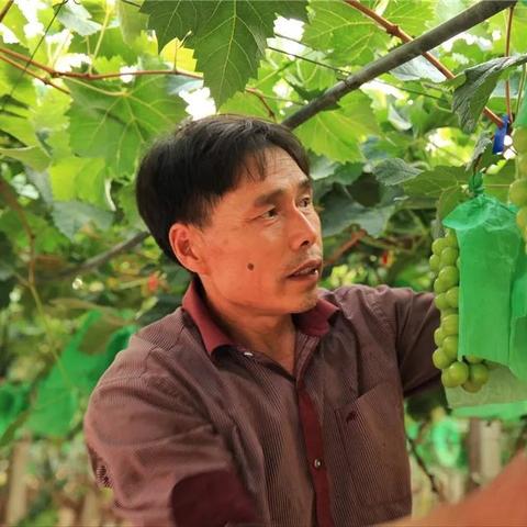 古代人生致富秘籍：高效种田炒房，轻松博取财富