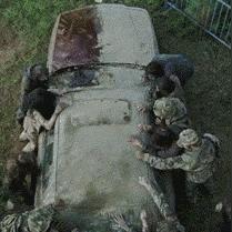 黎明觉醒生存指南：感染者丛林玩法攻略全解析