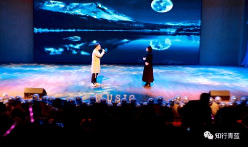 烟雨江湖独家揭秘：赛猪大会玩法攻略，畅享江湖欢乐盛宴