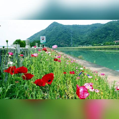 热门外国游戏盘点：人气爆棚的排行榜推荐，解锁全新游戏体验