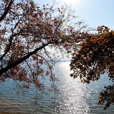 枫叶岛装备攻略：打造顶级战力必备秘籍