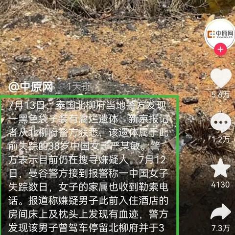 破解《犯罪大师》迟来真相：揭秘凶手身份，深度解析攻略分享