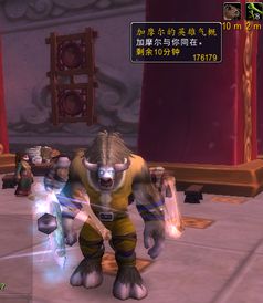 幻化系统揭秘：不朽之旅角色变身新玩法深度解析