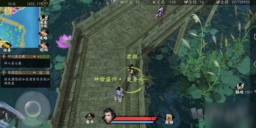 江湖救美攻略揭秘：下一站阿木生死抉择，绝密救援方法大公开