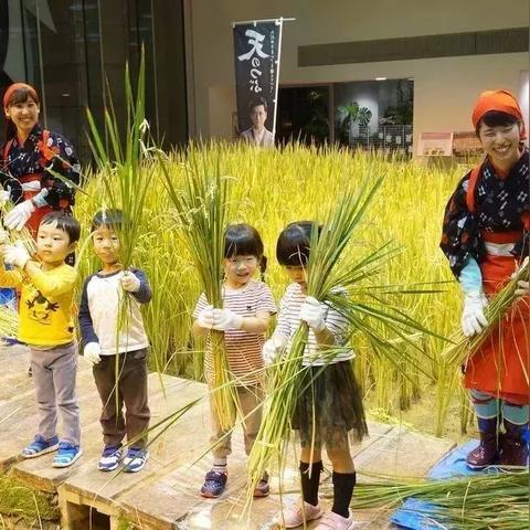 热门自动化游戏盘点：揭秘玩家最爱玩的热门排行，解锁游戏新乐趣