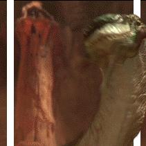 十大经典耐玩伪3D游戏推荐，揭秘玩家热爱的游戏秘籍