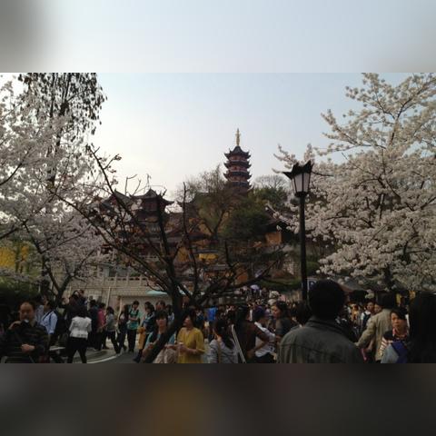 烟雨江湖枯骨门通关必备！快速提升战力攻略揭秘