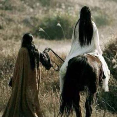 江湖秘籍搭配攻略：九阴心法武学最佳组合揭秘