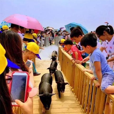 热门农场管理游戏下载必看！人气排行推荐新选择