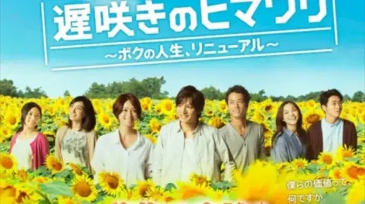 悠长假期高效攻略：揭秘向日葵种子获取秘籍