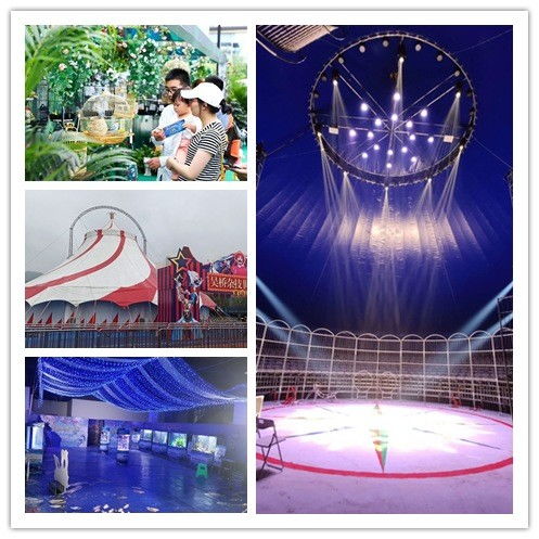 《一路马戏团》成就速成攻略：揭秘高效完成技巧，轻松解锁新境界