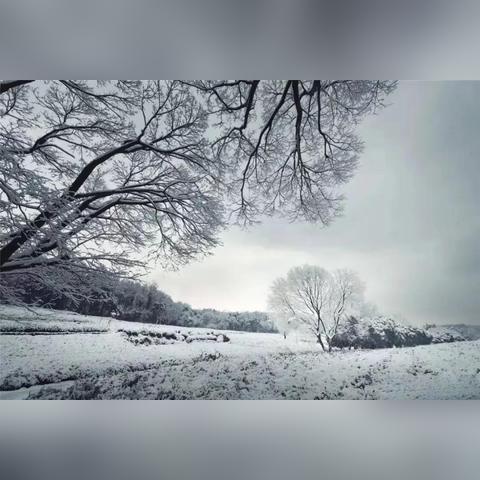 江湖杭城支线攻略：高效完成技巧揭秘，轻松解锁新境界