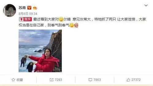 苏青栀快速入队攻略：独家招募技巧解锁江湖地位