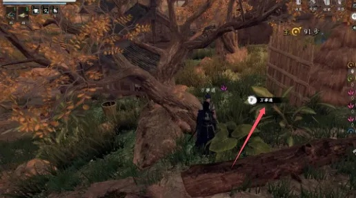 金蟾功轻松入手！揭秘下一站江湖高效获取攻略秘籍