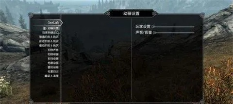 上古卷轴七胜攻略：传奇难度实战技巧深度揭秘