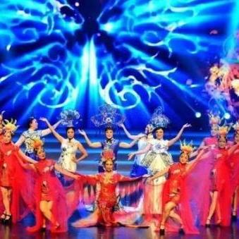 数码宝贝凤凰兽X解析：揭秘生命共享机制新突破