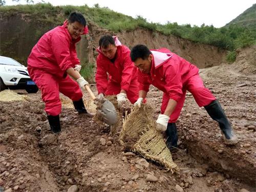 暴雨挑战，老农种树数量翻倍秘籍大揭秘