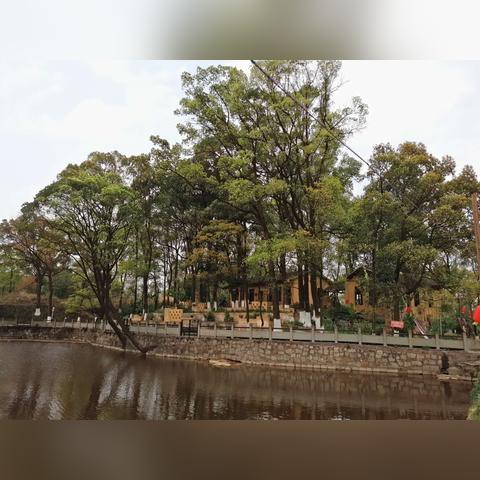 江南百景图桃花村建造攻略：高效组队技巧揭秘，打造完美桃花村