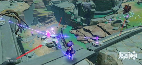 迷雾之夏书架解密攻略：揭秘高效解锁技巧，轻松解锁秘籍！