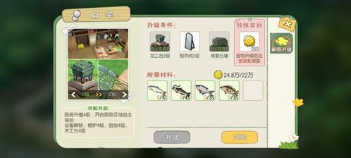 小森生活体力突破攻略：无限体力玩法揭秘，轻松畅玩无忧