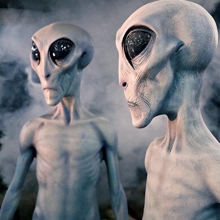 天堂之门独家奖励揭秘：最强蜗牛必看攻略！