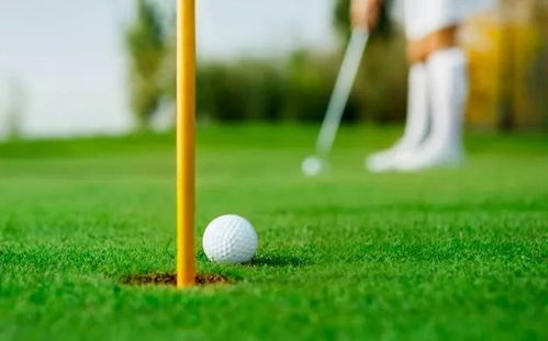 热门高尔夫游戏盘点：揭秘必玩佳作，体验极致挥杆乐趣