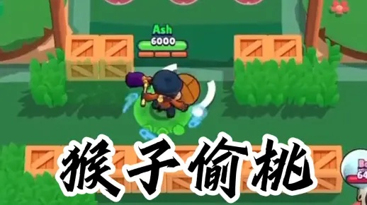 破解奇招！桃子大招反制秘籍，轻松制胜攻略大揭秘