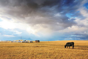 江南百景图稻田攻略：揭秘绝美稻田位置与玩法技巧