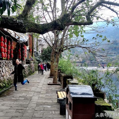 烟雨江湖腾跃术最佳搭配角色揭秘，高效武学攻略助你腾飞江湖